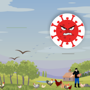bird flu
