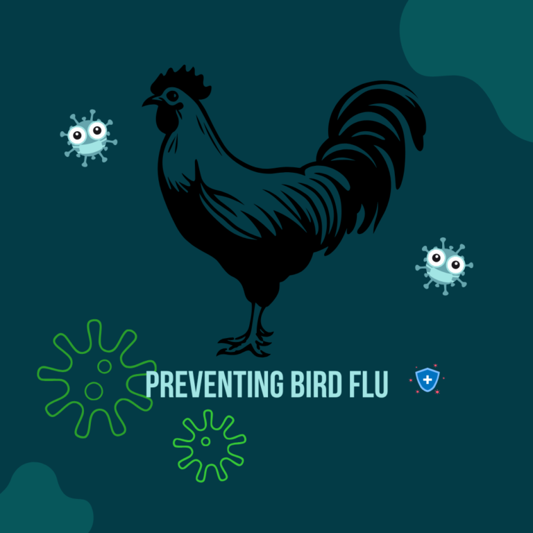 bird flu