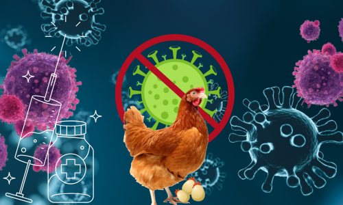 us bird flu